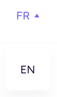 language switcher
